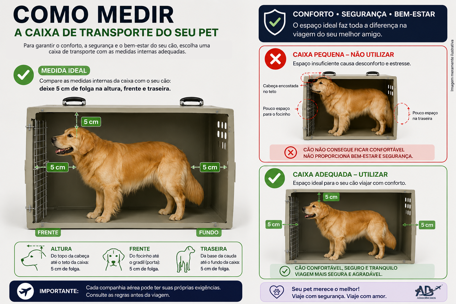 Como medir o pet para caixa de transporte